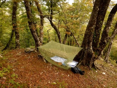 国見若水でランチ