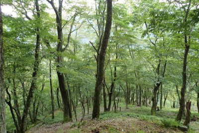 ゴロ2の傾斜が緩み始めたあたり