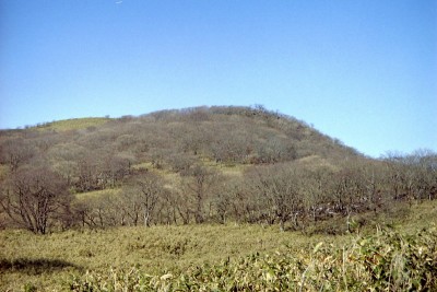 20年前のテーブルランド