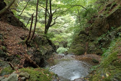 落ち口の左から巻き下った記憶あり