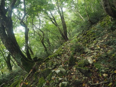古い登山道へ.jpg