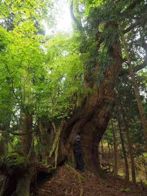 biwa爺さんの写真の反対側から