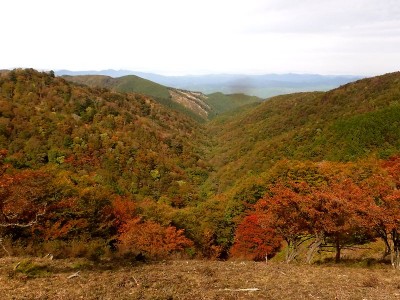 木梶吊り尾根からゼエノ谷を見下ろす。