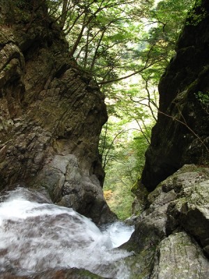 風折滝　滝口