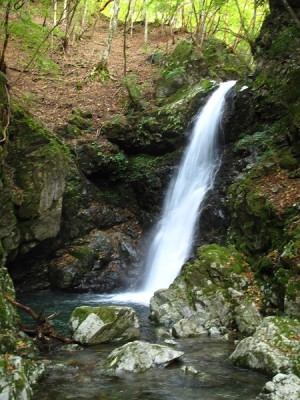 穏やかな１０ｍ滝
