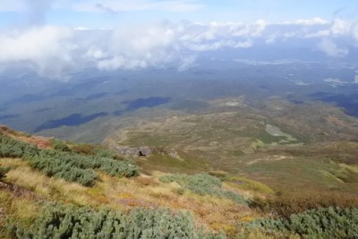矢島口への下山路