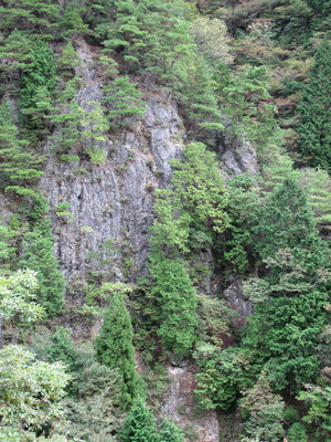 IMG_4240.jpg (835.06 KiB) 閲覧された回数 8235 回 修験者の好きそうなクラ