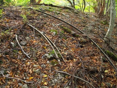 トロッコレール