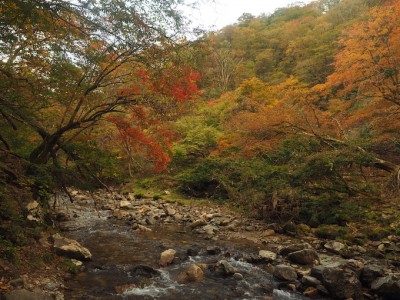 白滝谷.jpg