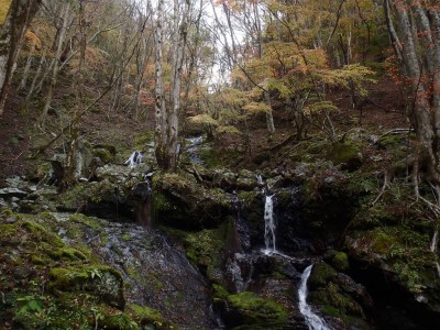 右俣のグーのお気に入りの場所。