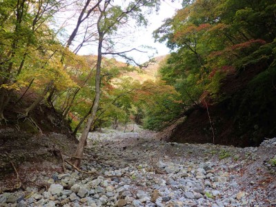 PA280003.jpg (120.09 KiB) 閲覧された回数 3525 回 ゴロ谷第二支流