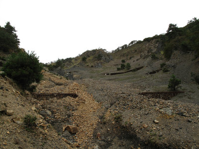 IMG_4241.jpg (484.32 KiB) 閲覧された回数 8229 回 文三ハゲ