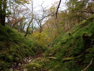 PA280053.jpg (121.75 KiB) 閲覧された回数 3528 回 アザミ谷源頭