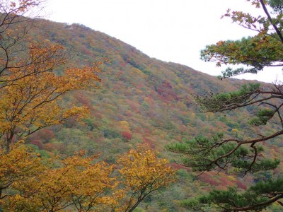 PA280079.jpg (100.49 KiB) 閲覧された回数 3525 回 テーブルランド西壁