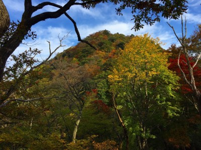 IMG_1235.jpg (821.34 KiB) 閲覧された回数 3127 回 ダイラの頭