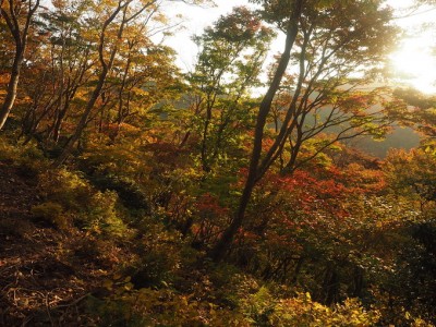 霊仙からダイラを目指して
