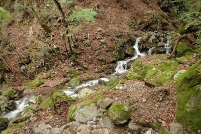どう考えても左俣に惹かれる・・・