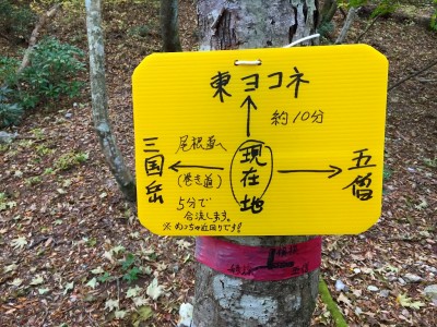 現地のプレート