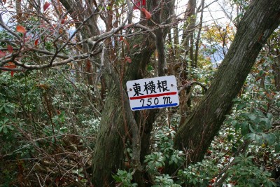 東横根？or 横根？