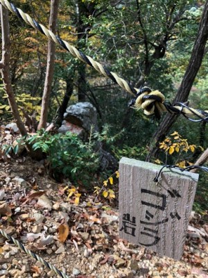 オッ、やっと会えました！