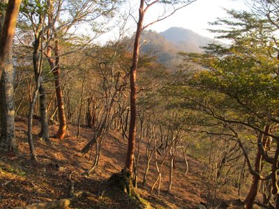 IMG_4899.JPG (222.94 KiB) 閲覧された回数 9031 回 奥が鯎谷高