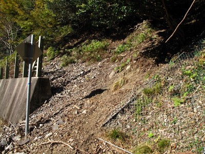 キララ谷右岸尾根の下降した場所