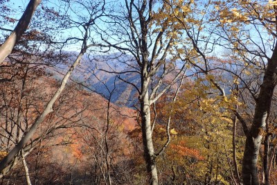 隣の芝生を望む