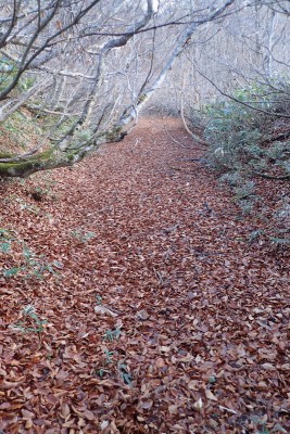 ここでハマりそうにならなかった？(^^ゞ