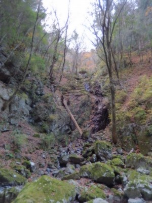 DSCN2219.jpg (179.99 KiB) 閲覧された回数 6084 回 ヒトマゲ滝?