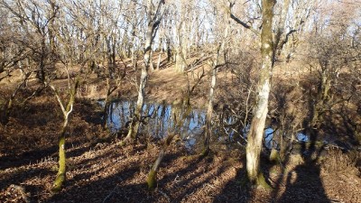 テーブルランド西端の御花池？