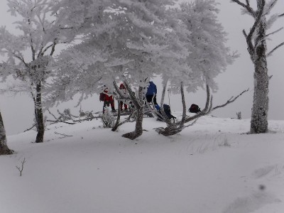 20201219-14.jpg (66.76 KiB) 閲覧された回数 3408 回 奥峰