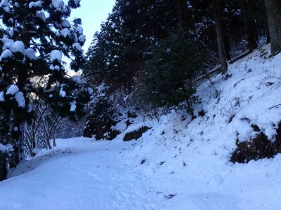 PC220006.jpg (83.99 KiB) 閲覧された回数 3210 回 取り付いた斜面