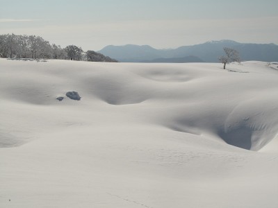 IMG_2884.JPG (83.22 KiB) 閲覧された回数 6853 回 青のドリーネ