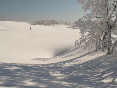 雪原のメッチェン