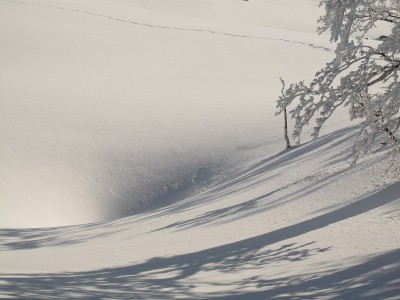 IMG_2874.JPG (150.06 KiB) 閲覧された回数 6613 回 ドリーネと獣の足跡