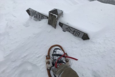 １㍍弱？積もってるのかな？