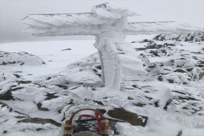 800F9186-96DF-434F-BF59-885AD01C939E-4887-0000043802F4FF5F_R1.jpg (67.72 KiB) 閲覧された回数 3934 回 最高点