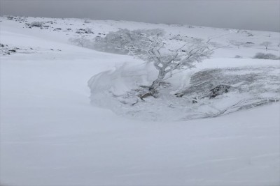 3CB2D497-E2C4-435F-BC0A-4F47266499B6-4887-0000043D6C7B9A58_R1.jpg (36.25 KiB) 閲覧された回数 3937 回 風の吹き溜まり、吹き飛ばし!!