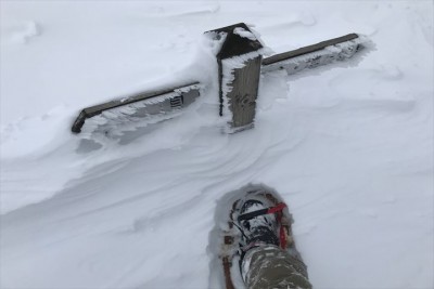 E17580C4-5740-4A23-B81D-60A27E6E527B-4887-00000442A93E84B2_R1.jpg (35.09 KiB) 閲覧された回数 3934 回 お猿岩も1㍍弱?