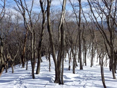P1040012.jpg (140.33 KiB) 閲覧された回数 4444 回 雰囲気の良い木和田尾