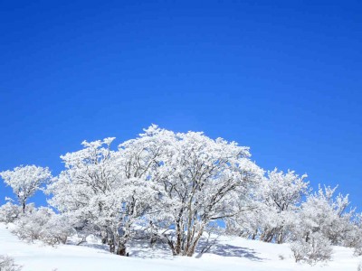 P1040063.jpg (70.77 KiB) 閲覧された回数 4444 回 神様からのご褒美