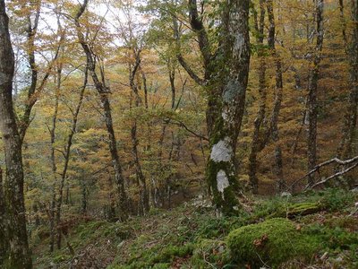 国見公園・秋色