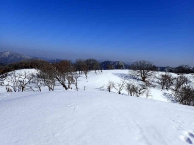 茶野の雪原