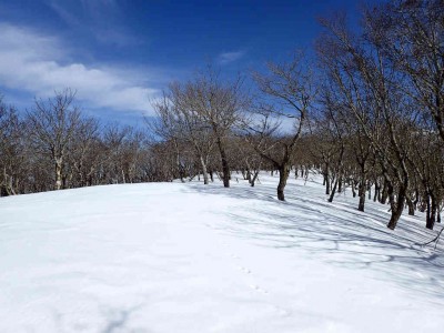 P1150027.jpg (79.72 KiB) 閲覧された回数 2579 回 鈴北岳手前