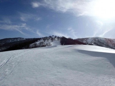 P1150055.jpg (42.67 KiB) 閲覧された回数 2579 回 鞍掛尾根