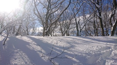 16107154137213(青空２） - コピー.jpg