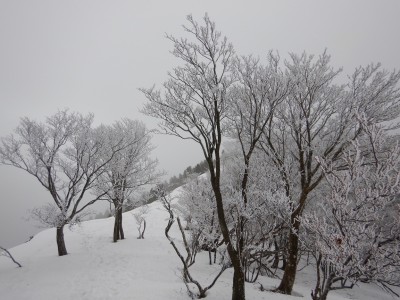 青空が欲しいが