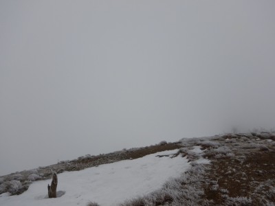 ガスと強風で山頂は断念。下山します