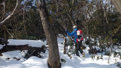 だだっ広い尾根。ルーファイが難しい