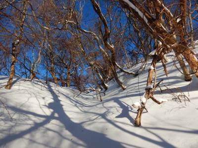 上平寺城跡らしいのだが、一面雪でどこに有るのか分からない